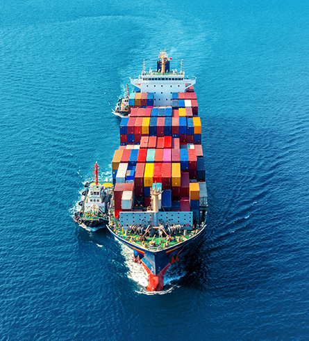Ship Import-Export